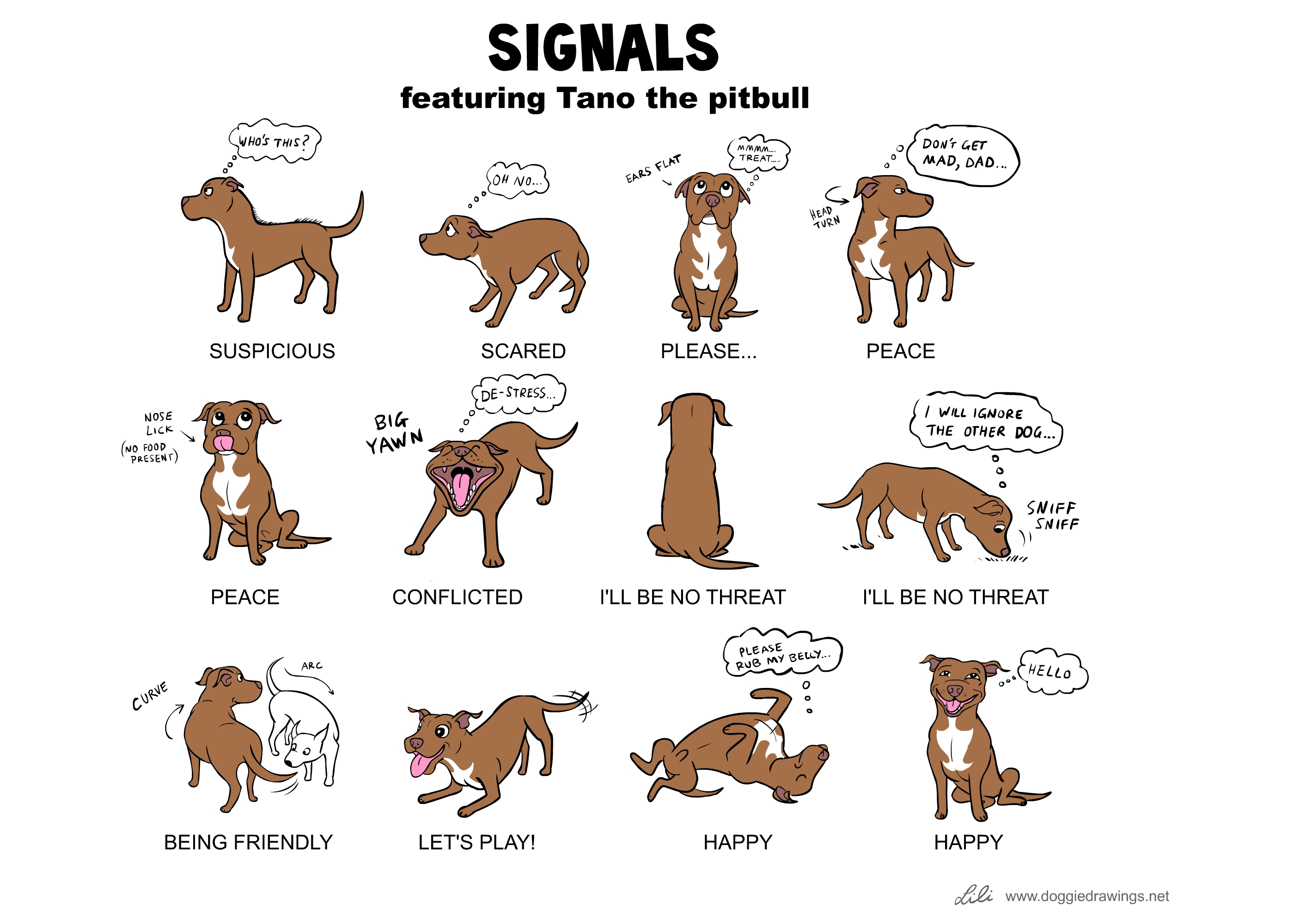 dog hand signals chart