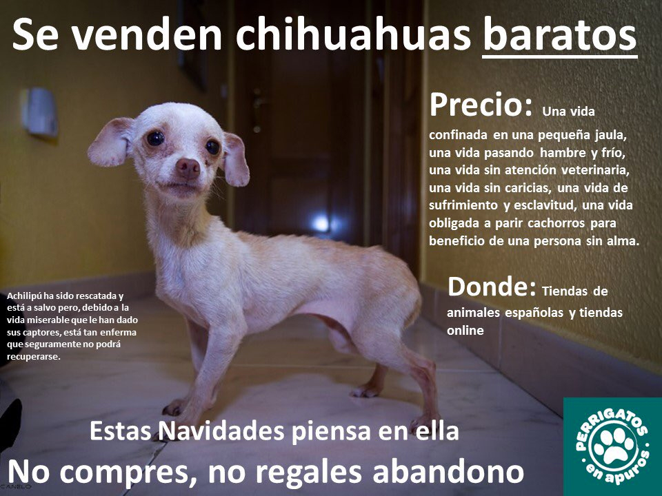 tienda de animales de Madrid acumula denuncias, inexplicables y enfermedades de cachorros