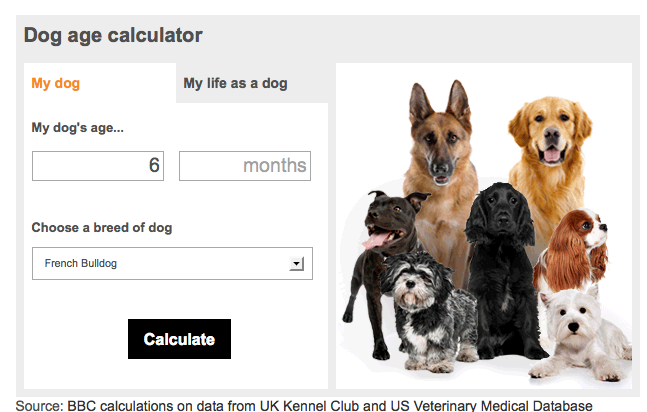 Minúsculo Reposición Del Norte Quieres saber qué edad humana tiene tu perro? Hay una calculadora