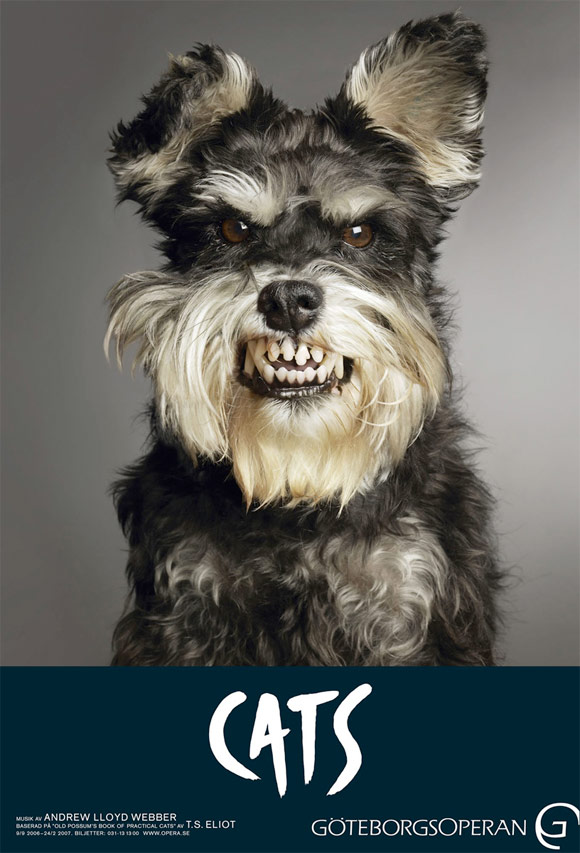 Persona especial Imposible mordedura Perros y publicidad: 10 anuncios que arrancan sonrisas